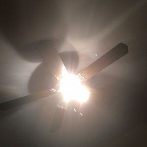 Meet your Posher, Dean